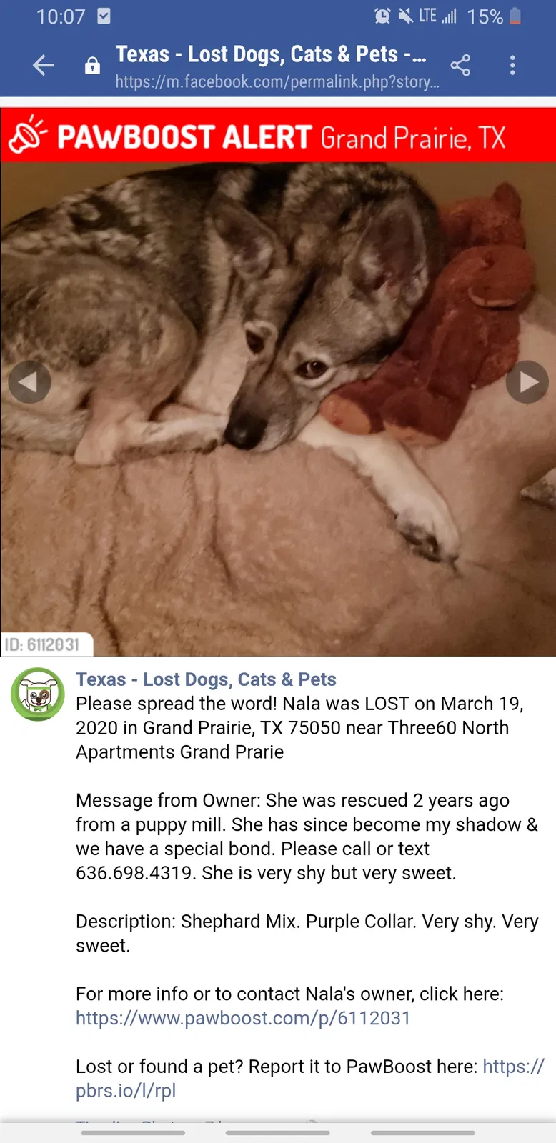 Lost dog in Grand Prairie, TX, 75050