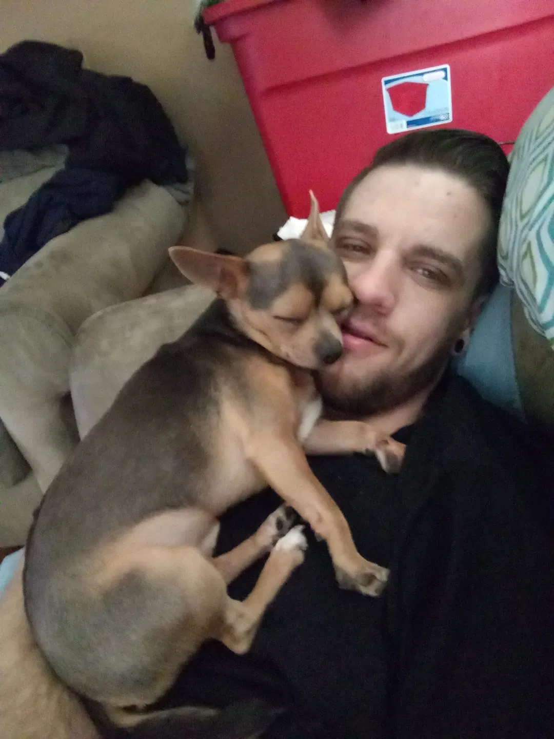 Lost dog in Charleston, WV, 25312