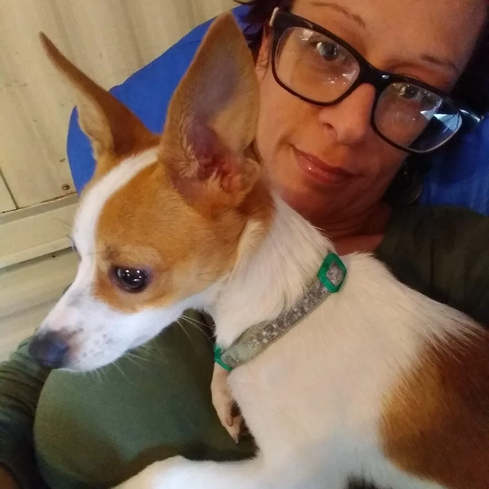 Lost dog in Weir, TX, 78674