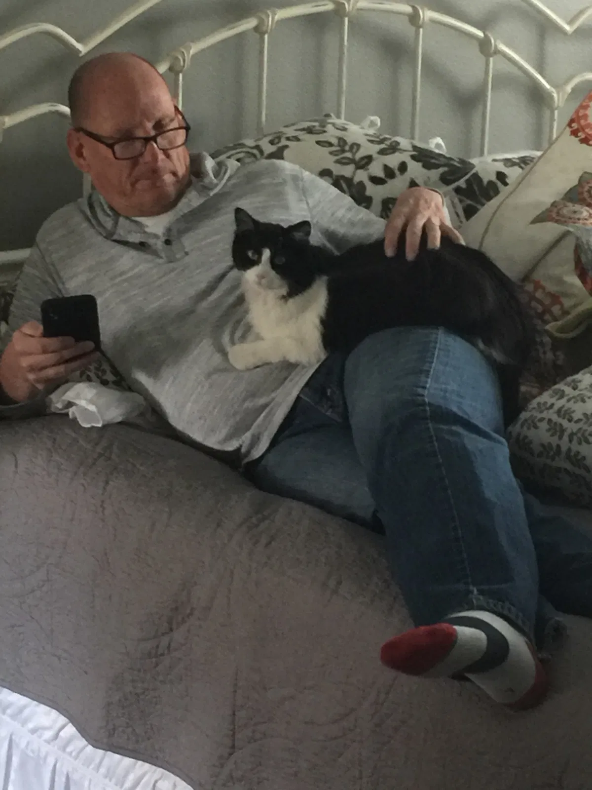 Lost cat in American Fork, UT, 84003