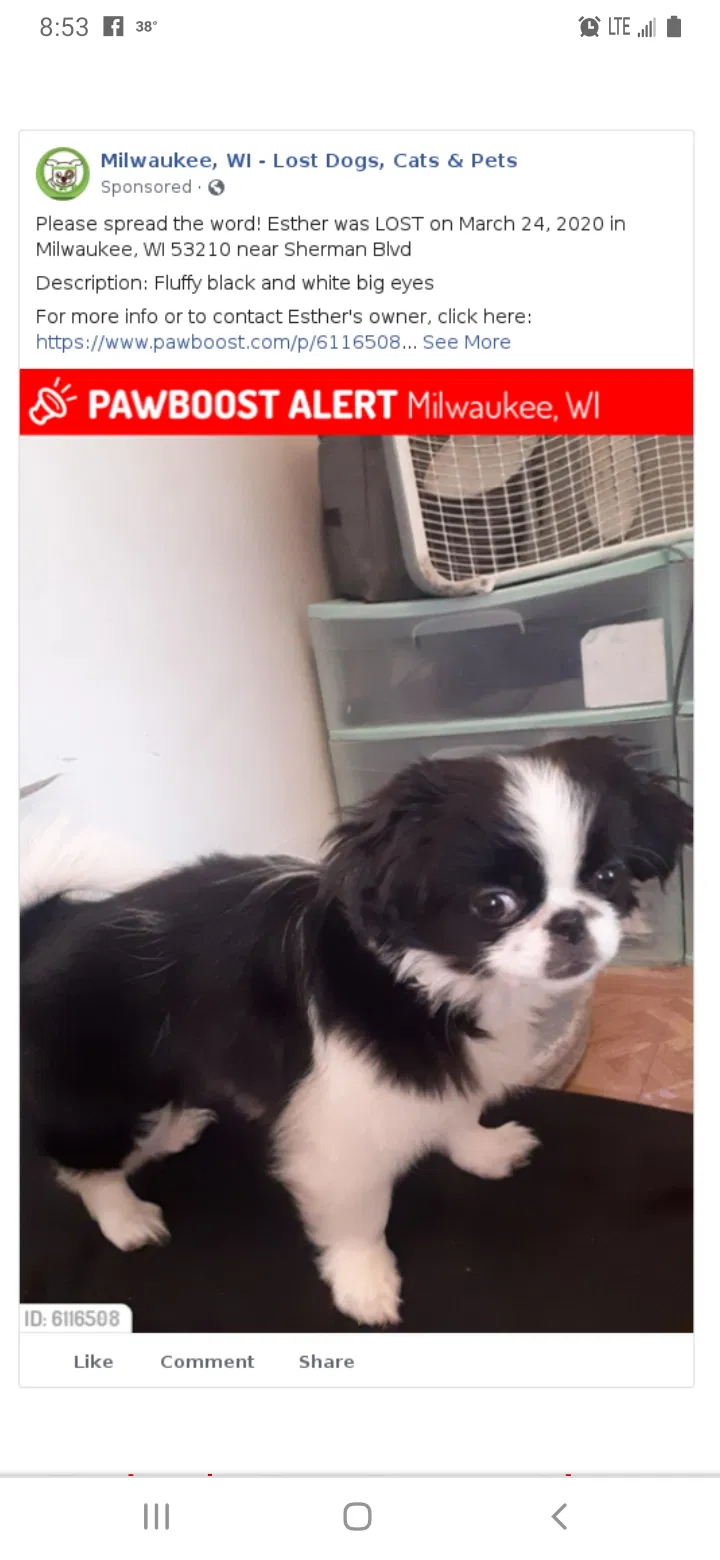 Lost dog in Milwaukee, WI, 53210