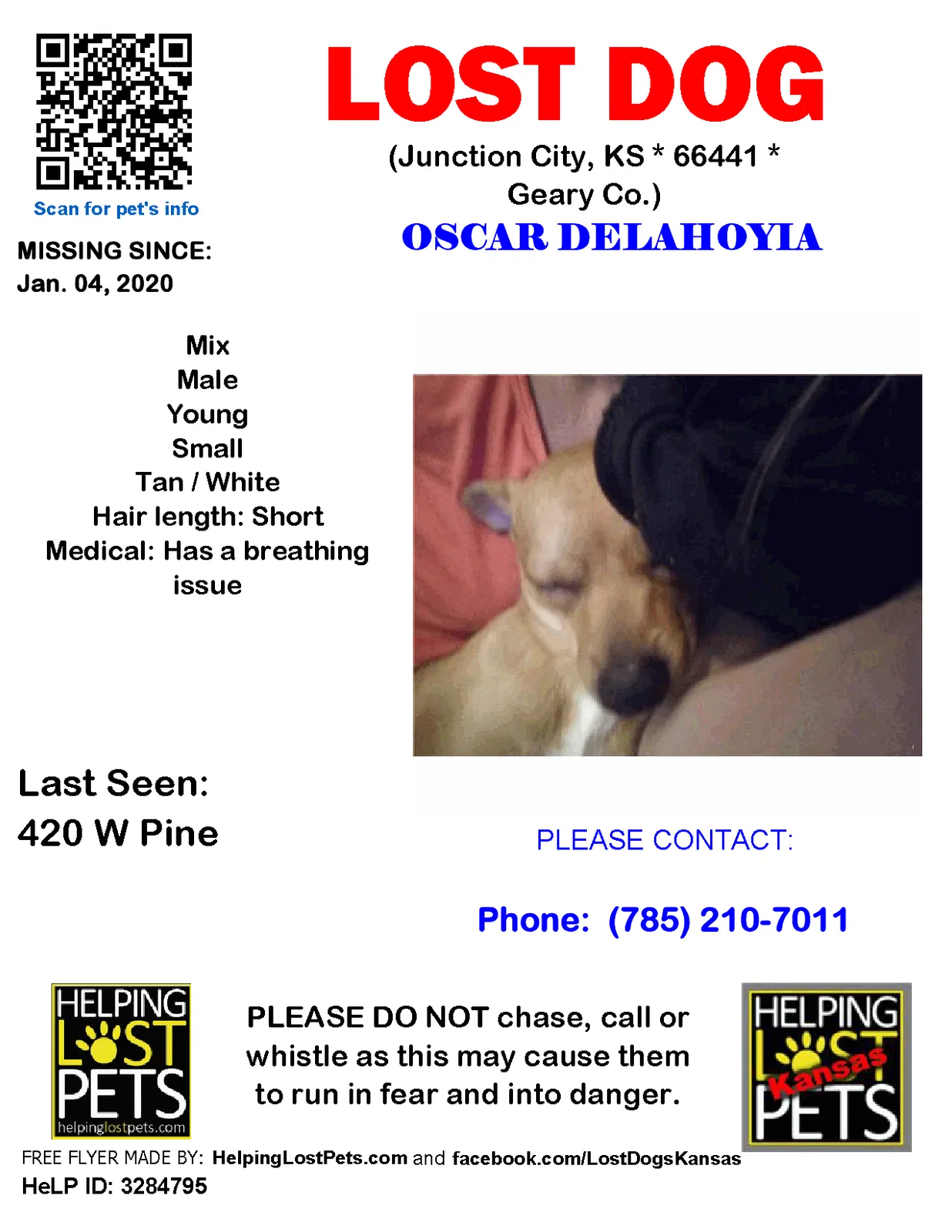 Lost dog in Junction City, KS, 66441