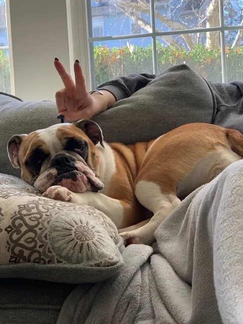 Lost dog in Richmond, VA, 23224