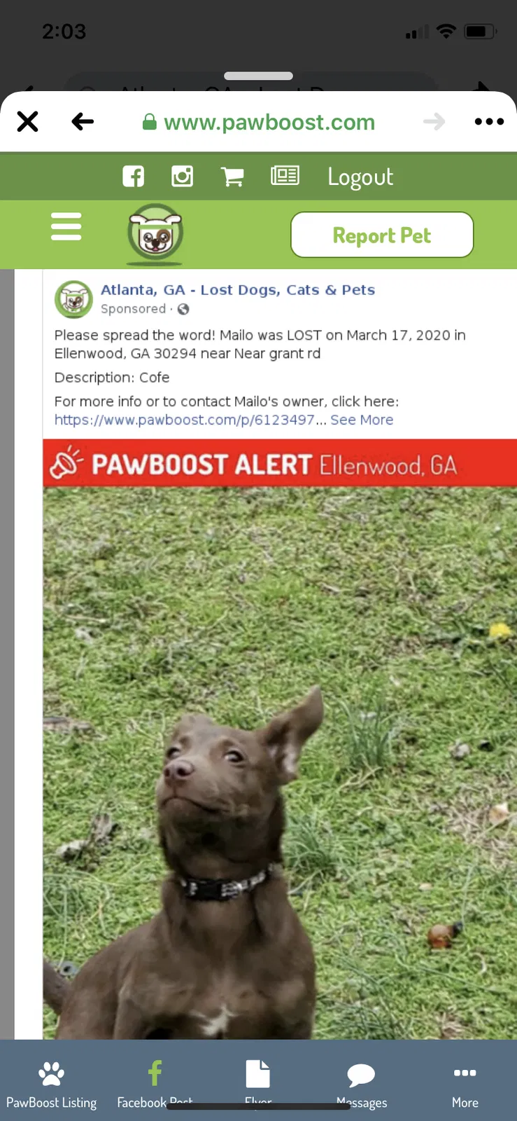 Lost dog in Ellenwood, GA, 30294