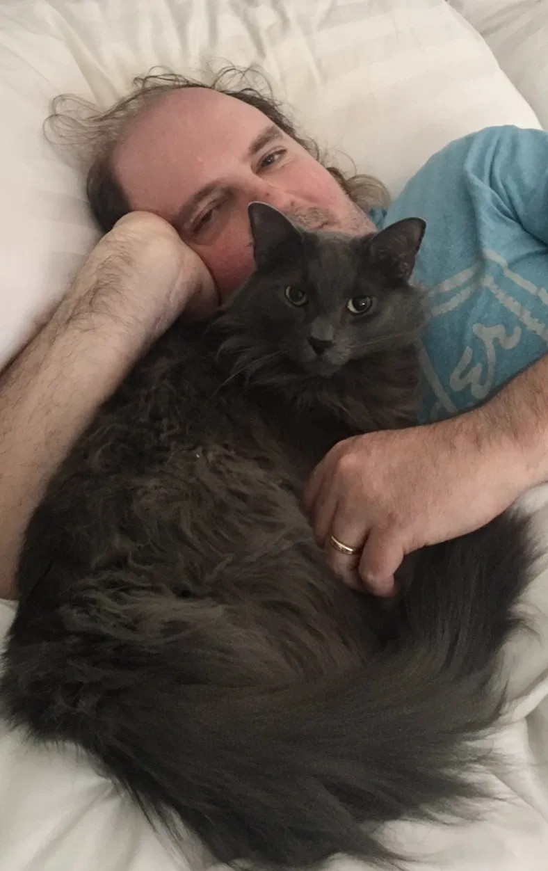 Lost cat in Houston, TX, 77084