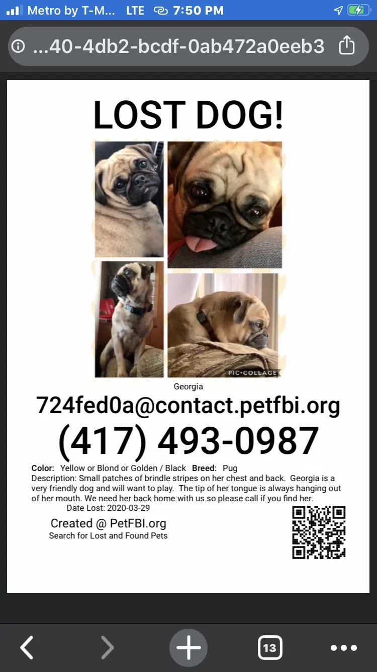 Lost dog in Springfield, MO, 65803
