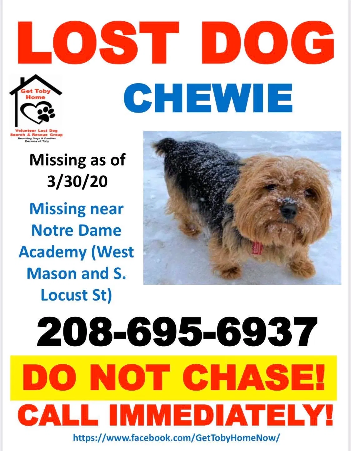 Lost dog in Green Bay, WI, 54303