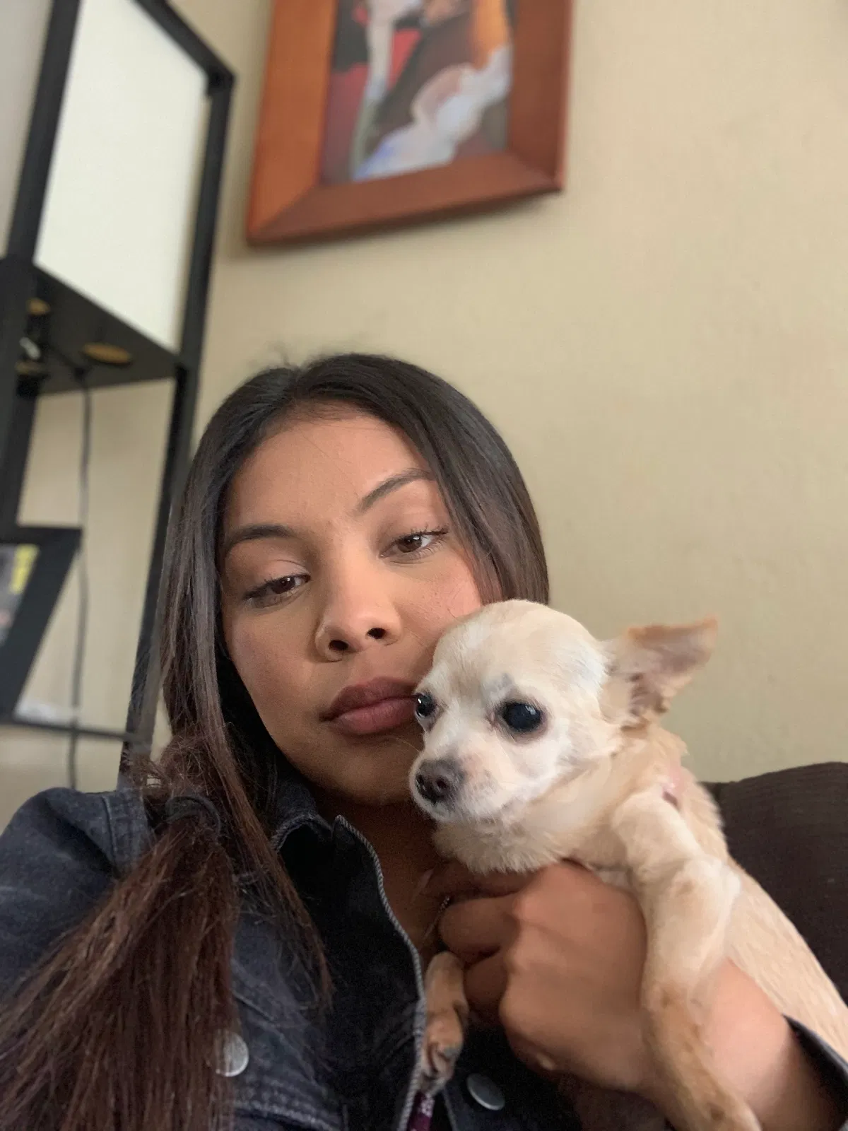 Lost dog in Salinas, CA, 93906