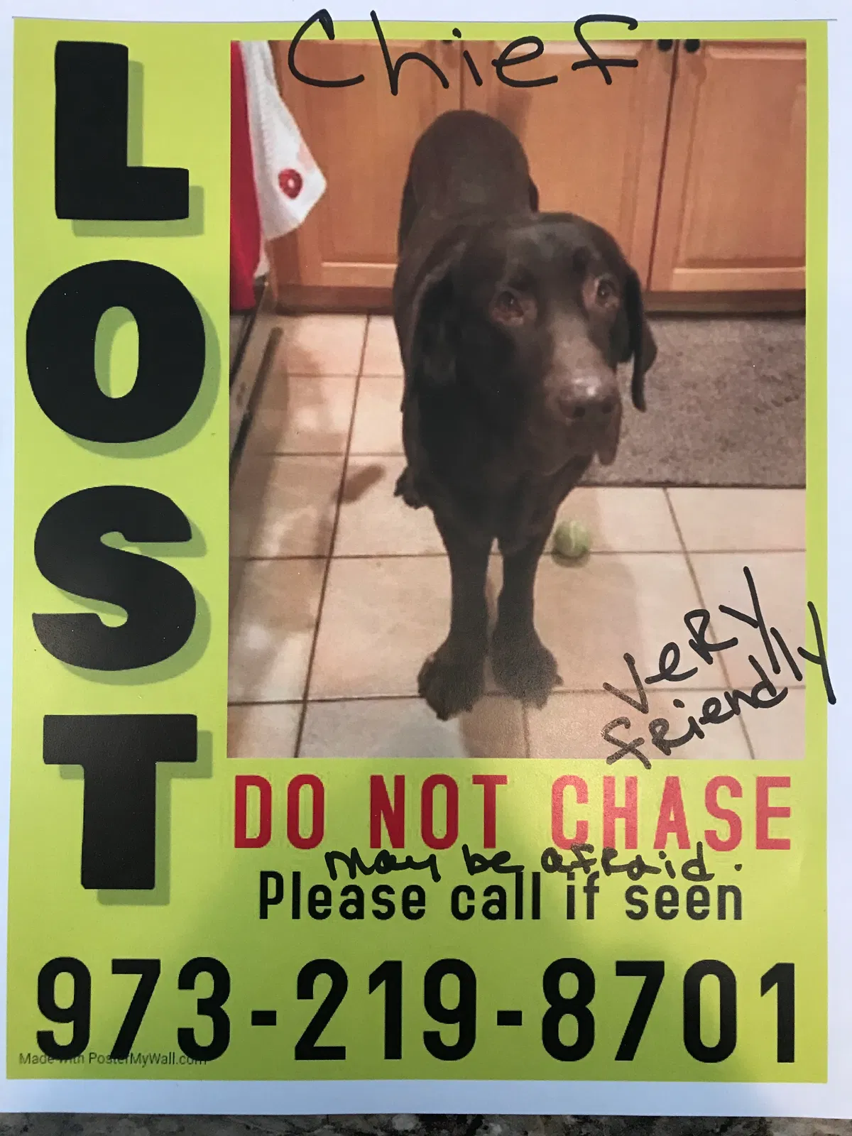 Lost dog in Wharton, NJ, 7885