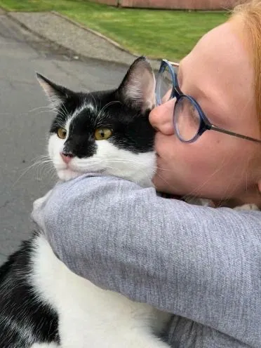 Lost cat in Tacoma, WA, 98443