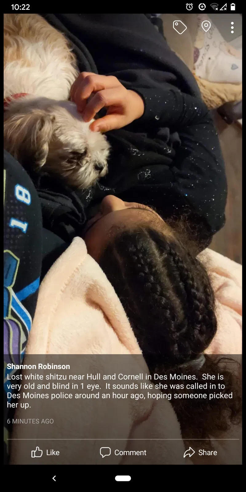 Lost dog in Des Moines, IA, 50313