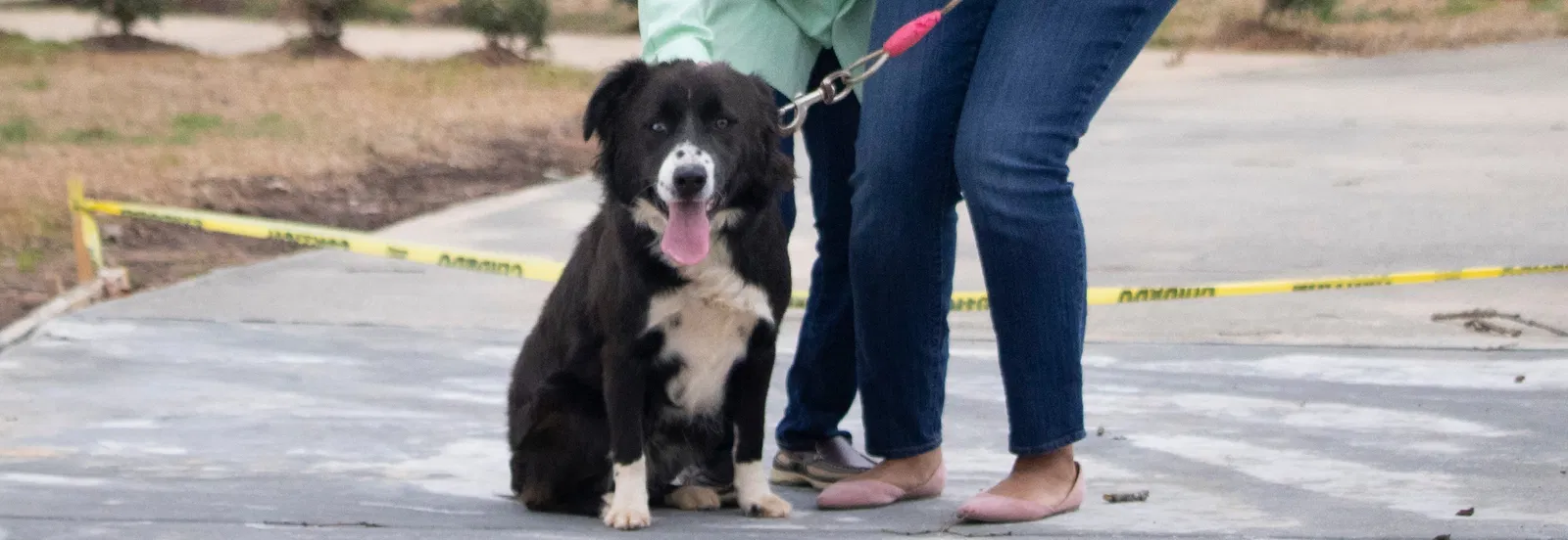 Lost dog in Fairburn, GA, 30213