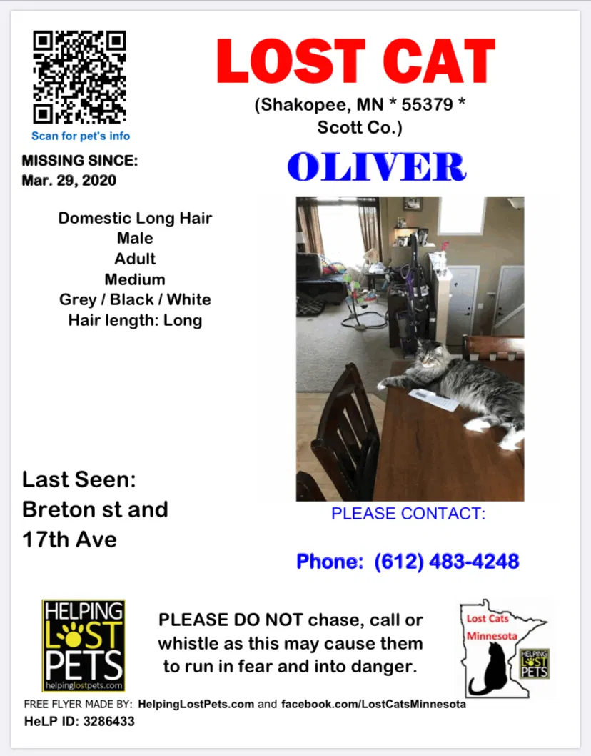 Lost cat in Shakopee, MN, 55379
