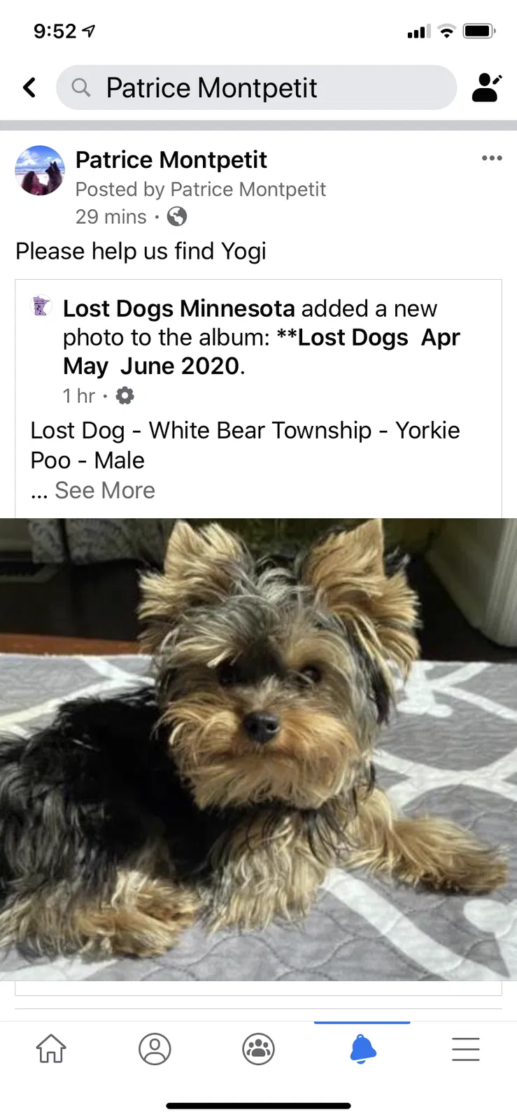 Lost dog in Saint Paul, MN, 55127