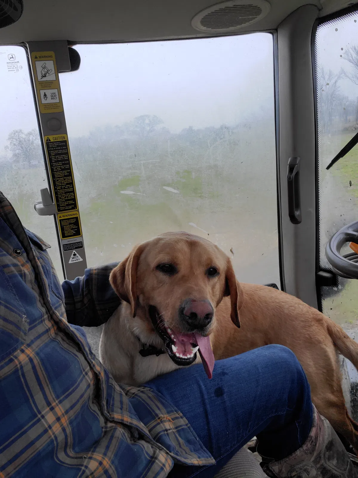 Lost dog in Mulberry, AR, 72947