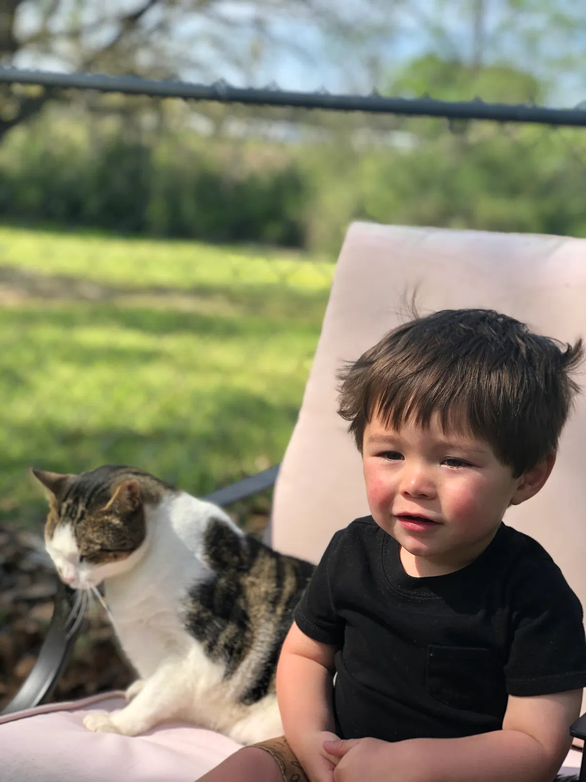 Lost cat in Fort Bragg, NC, 28307