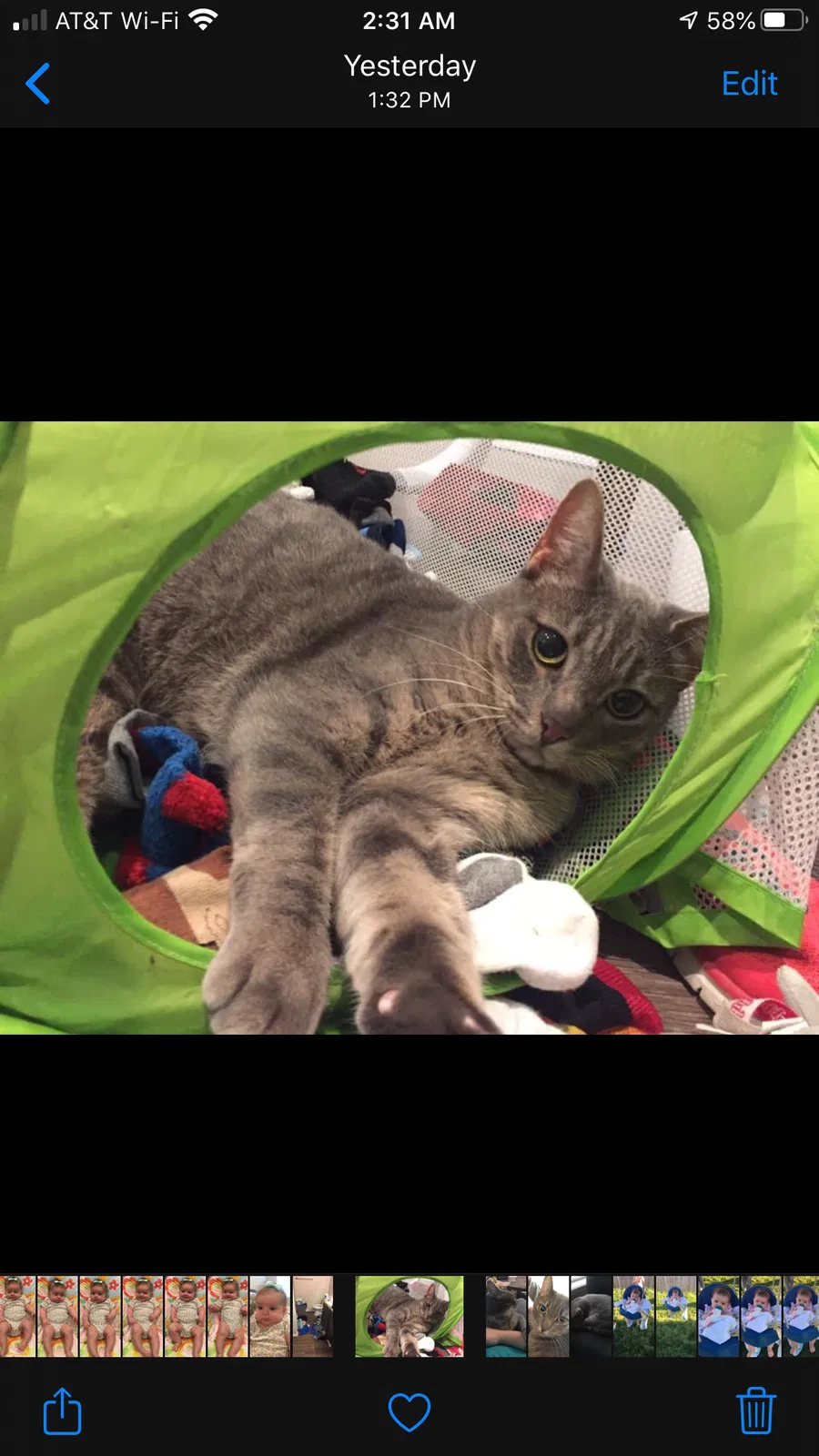 Lost cat in Bixby, OK, 74008