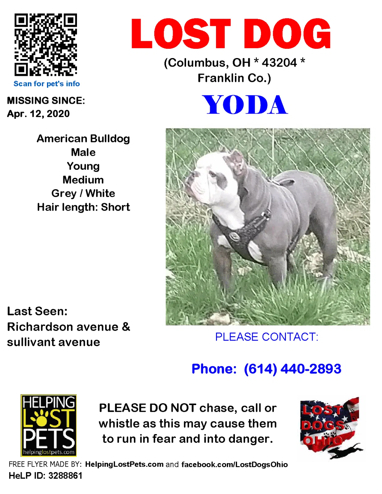 Lost dog in Columbus, OH, 43204