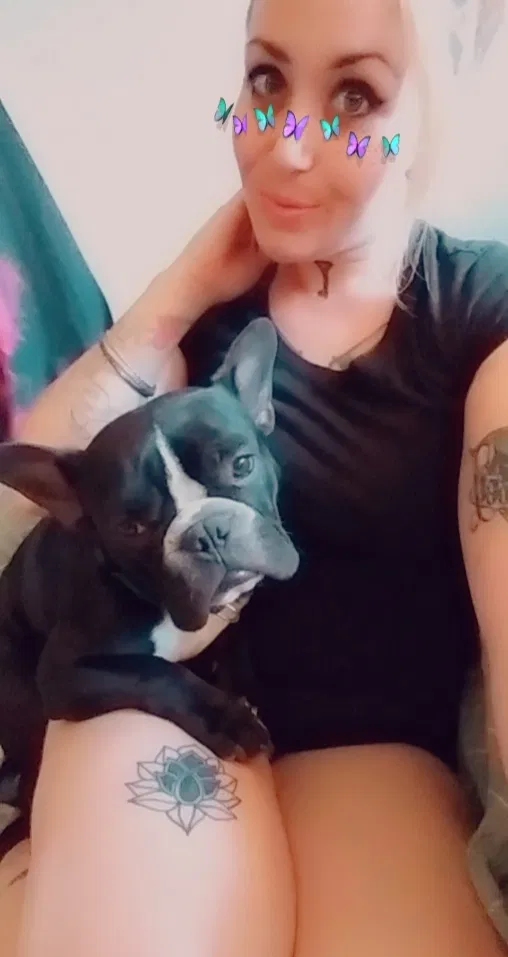 Lost dog in Phoenix, AZ, 85035