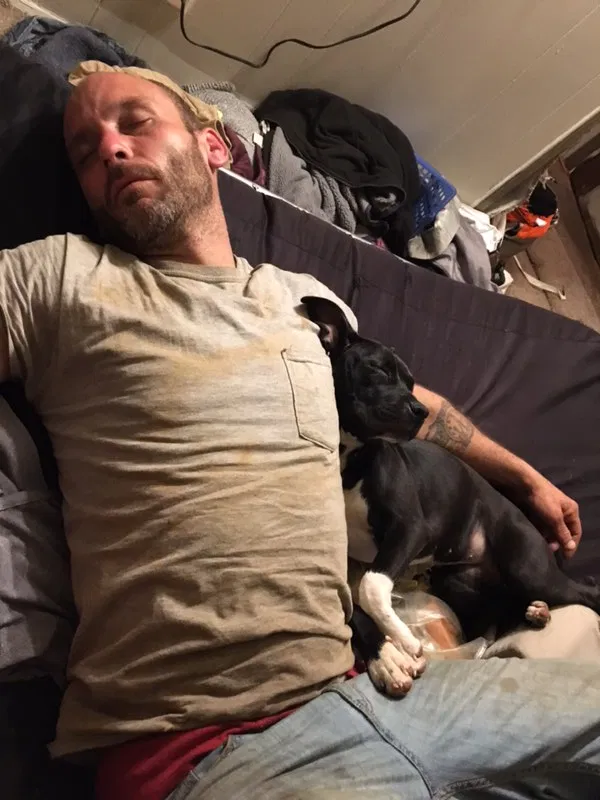Lost dog in Hopkins, SC, 29061