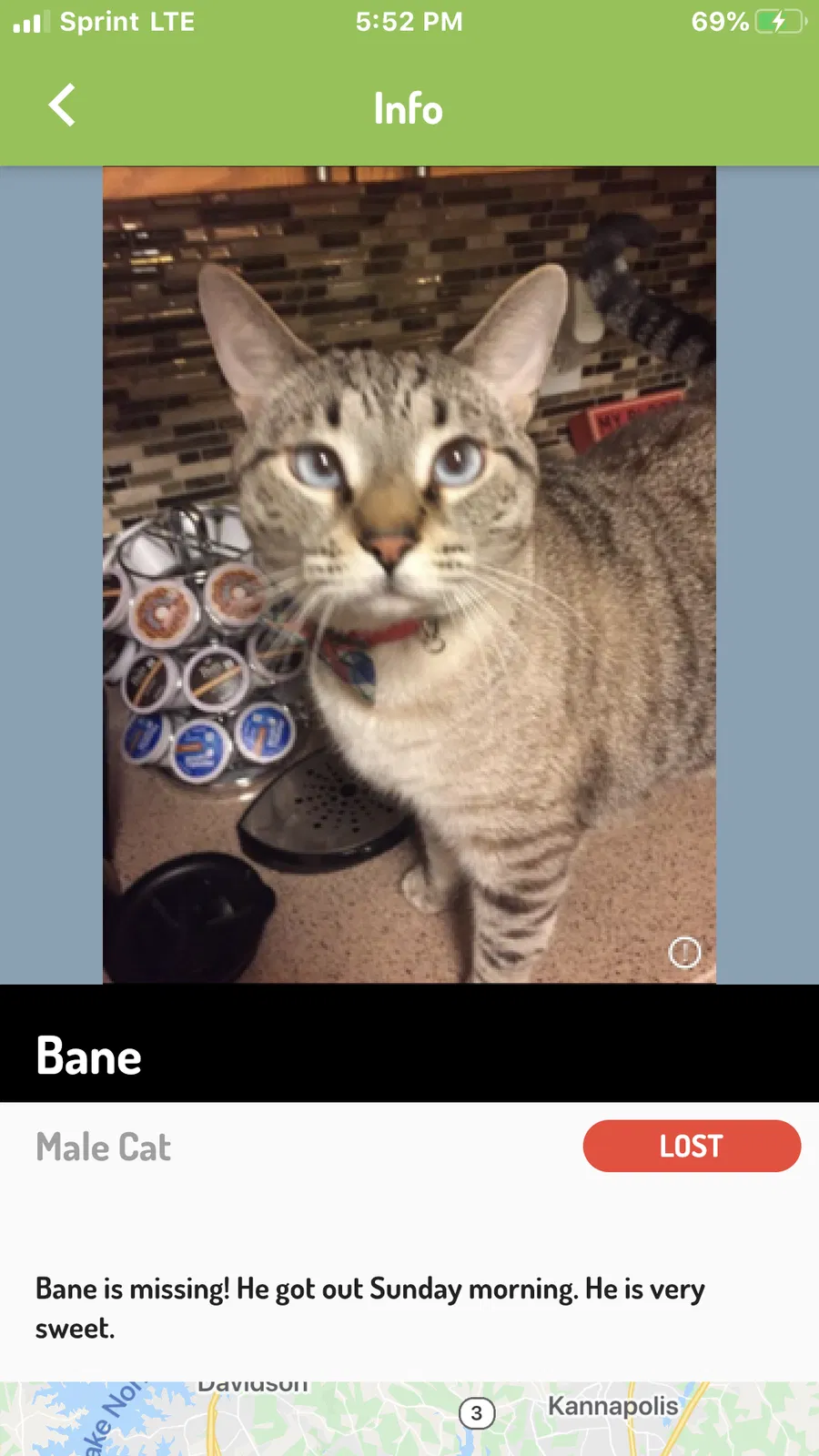 Lost cat in Charlotte, NC, 28262