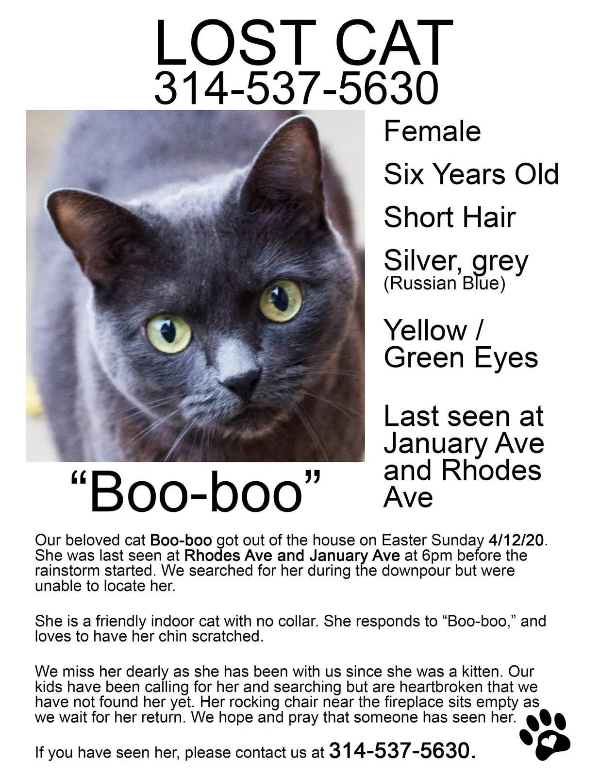 Lost cat in Saint Louis, MO, 63109
