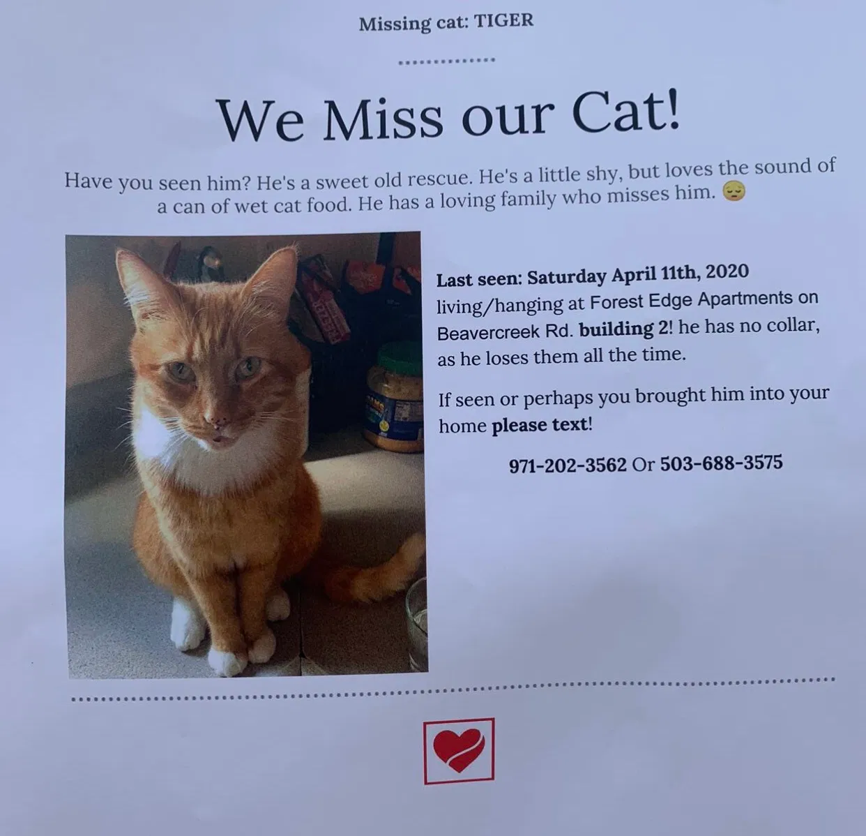 Lost cat in Oregon City, OR, 97045