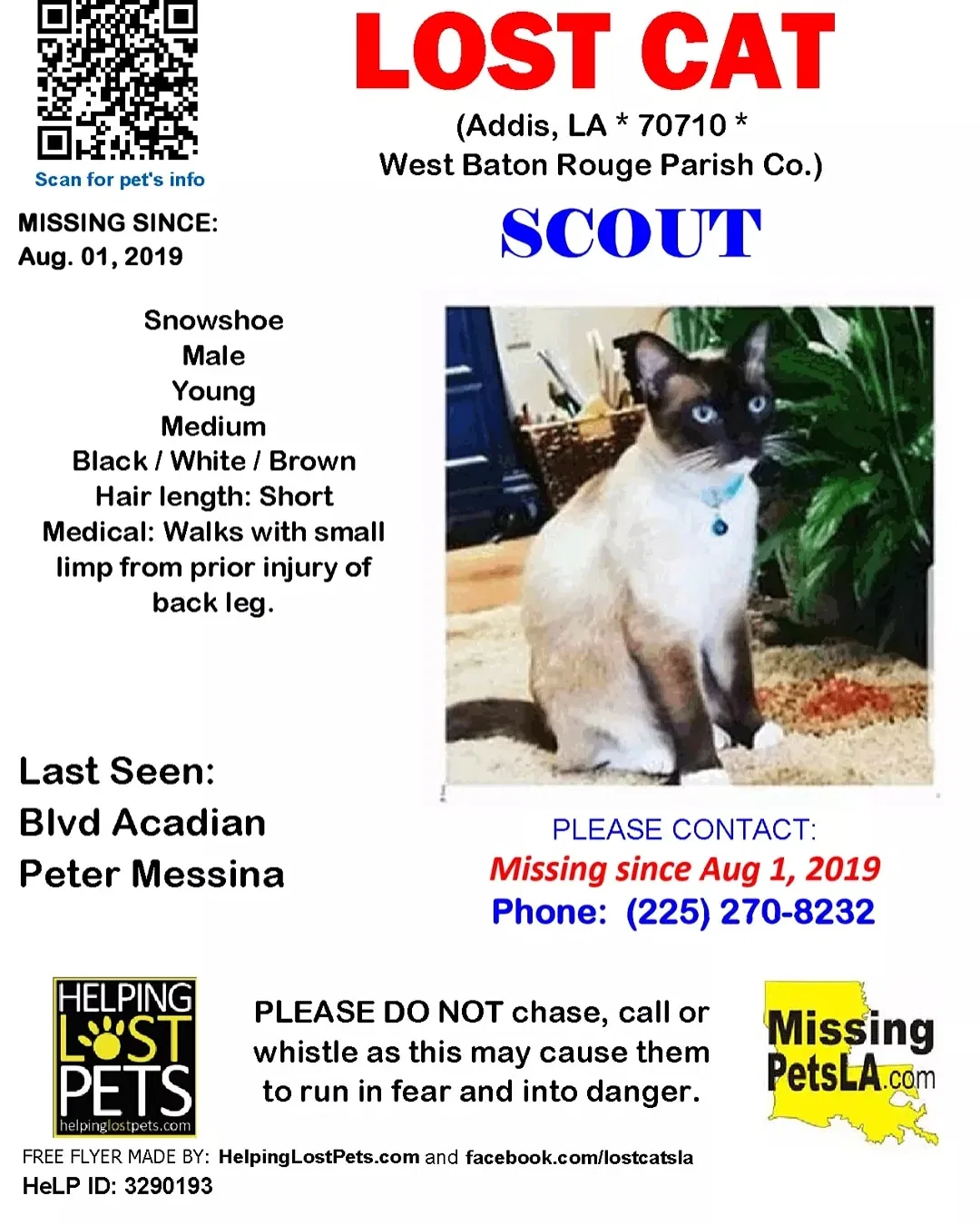 Lost cat in Addis, LA, 70710