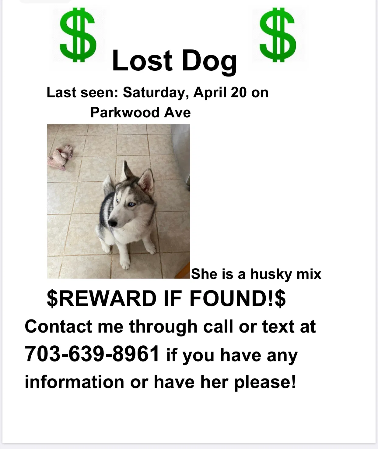 Lost dog in Columbus, OH, 43211