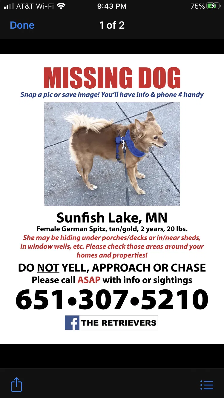 Lost dog in Saint Paul, MN, 55118