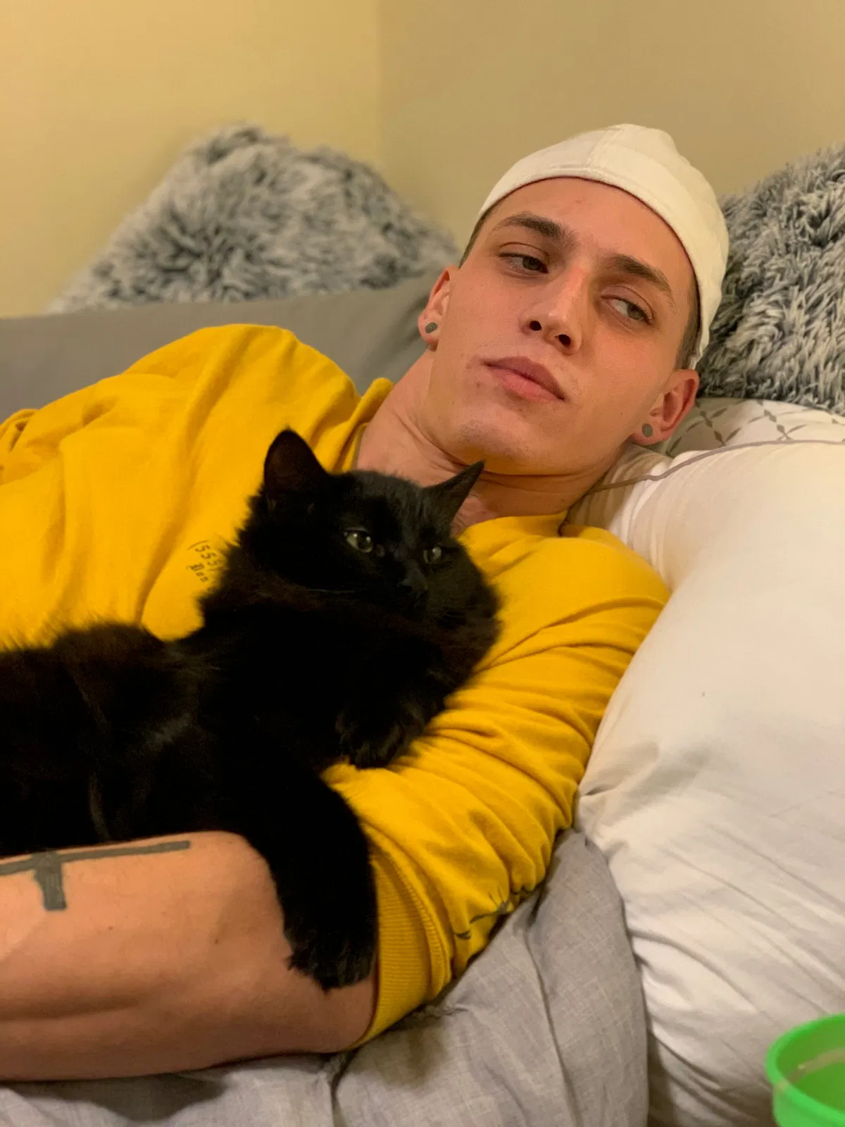 Lost cat in Evansville, IN, 47712