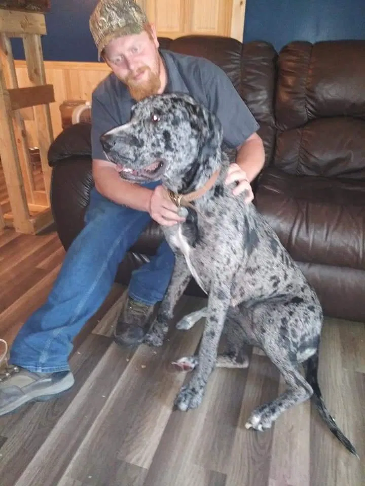 Lost dog in Muskegon, MI, 49442