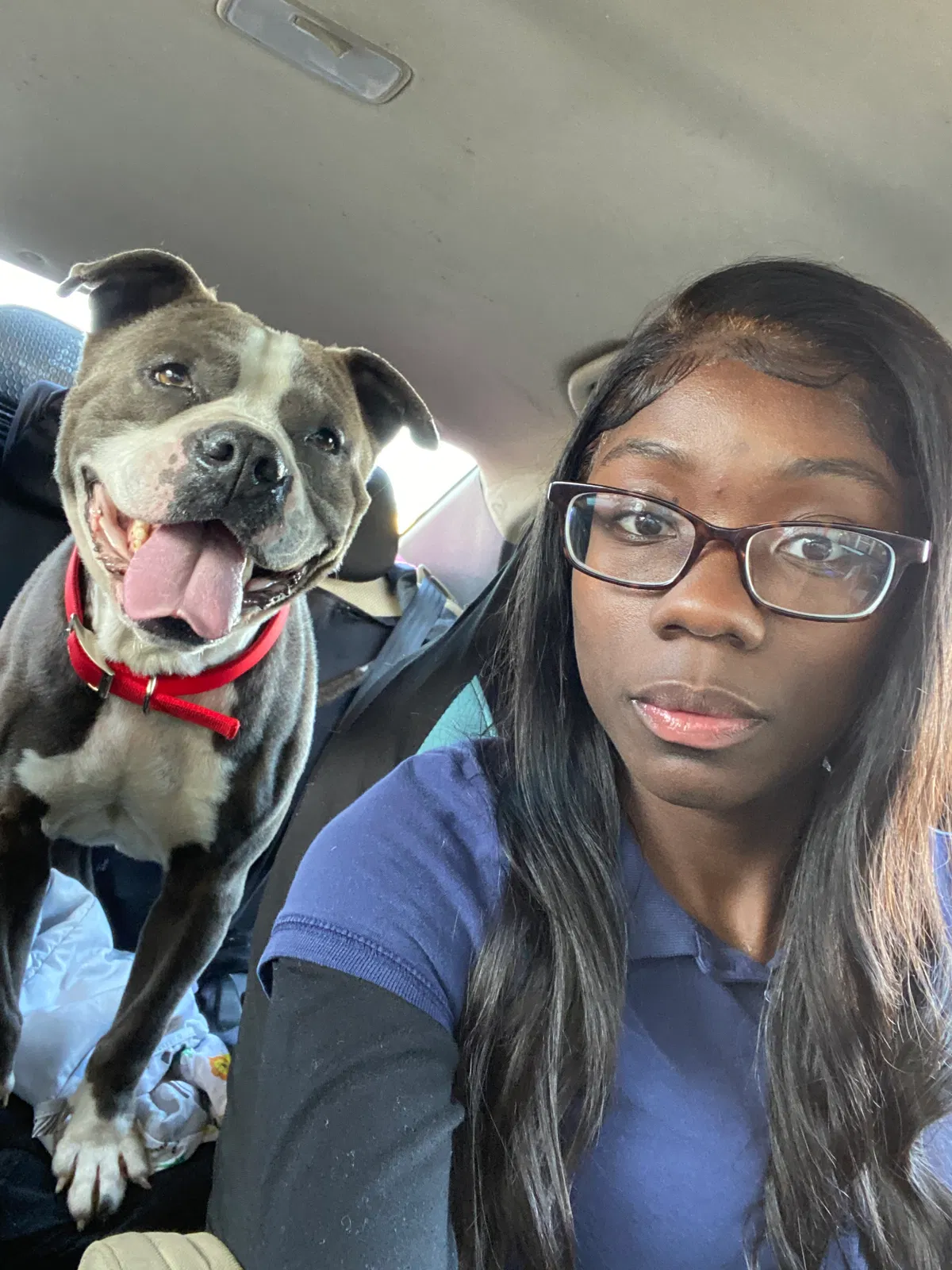 Lost dog in Irmo, SC, 29063
