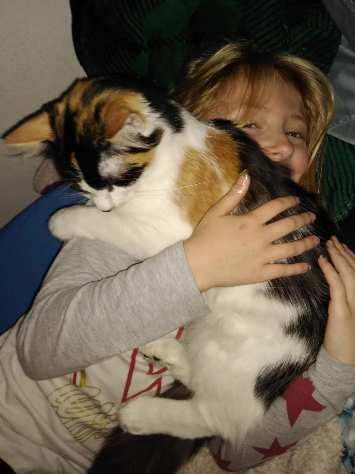 Lost cat in Wilsonville, OR, 97070