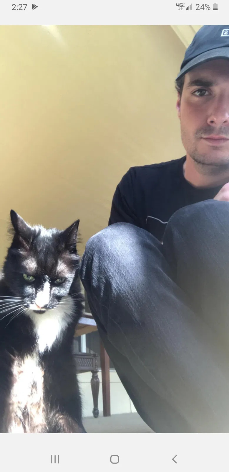 Lost cat in Fayetteville, AR, 72701