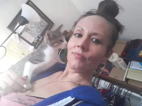 Lost cat in Saint Paul, MN, 55124