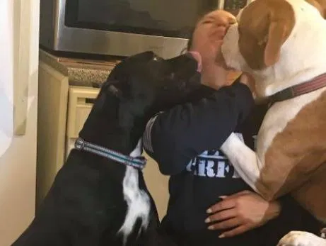Lost dog in Jacksonville, NC, 28546