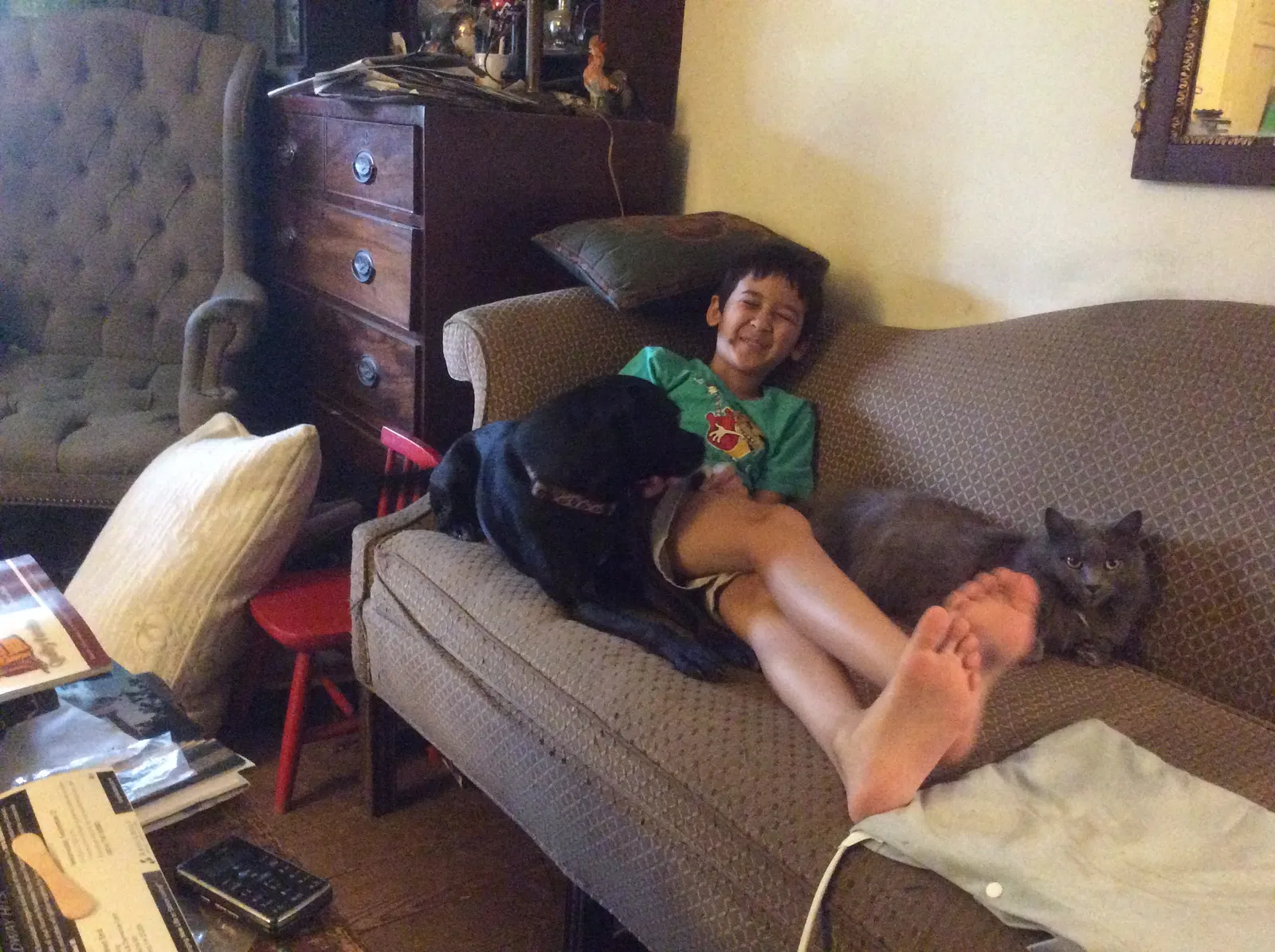 Lost dog in Midlothian, VA, 23113