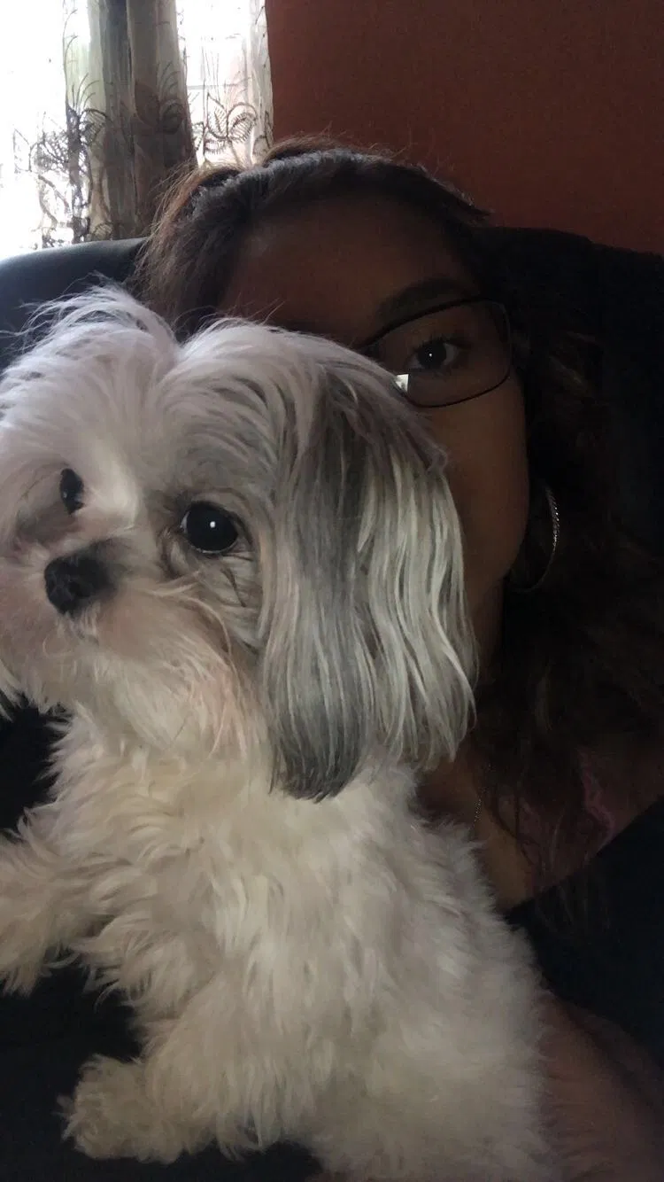 Lost dog in Monroe, NC, 28112
