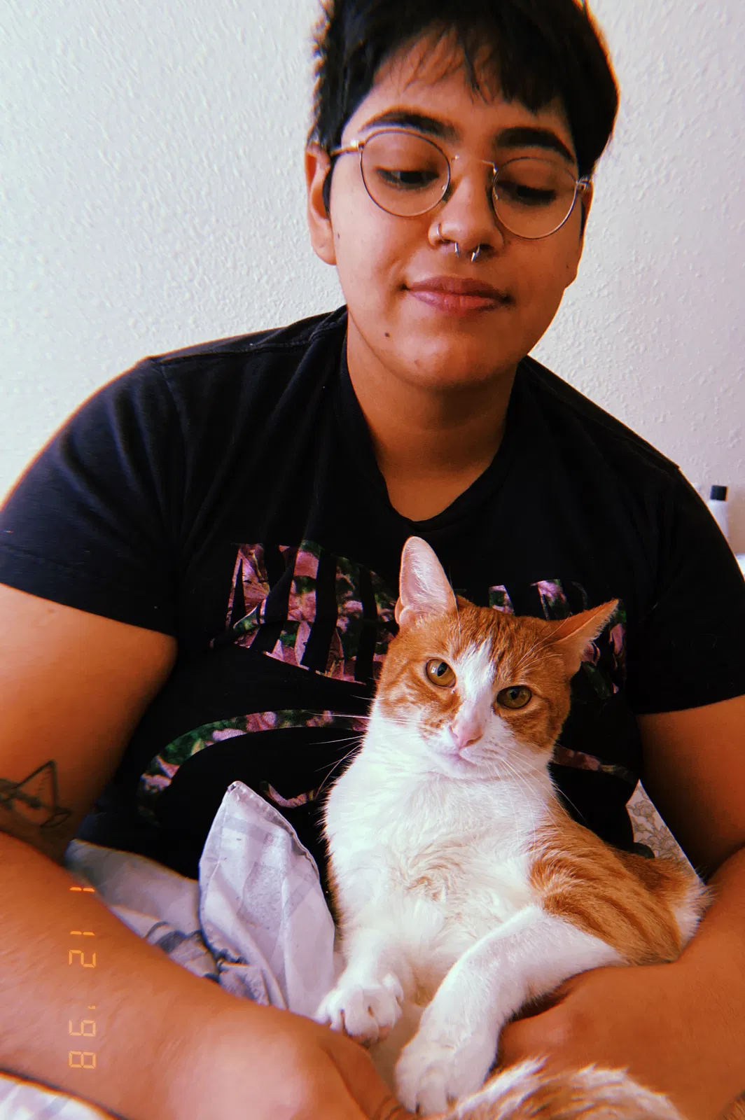 Lost cat in Albuquerque, NM, 87111