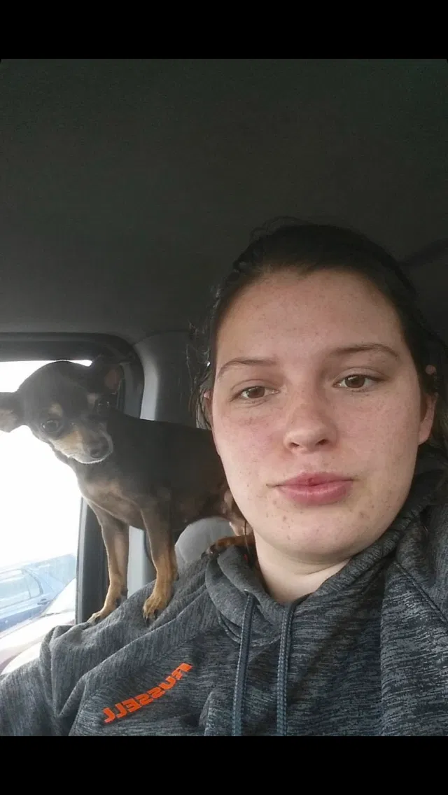 Lost dog in Glenpool, OK, 74033