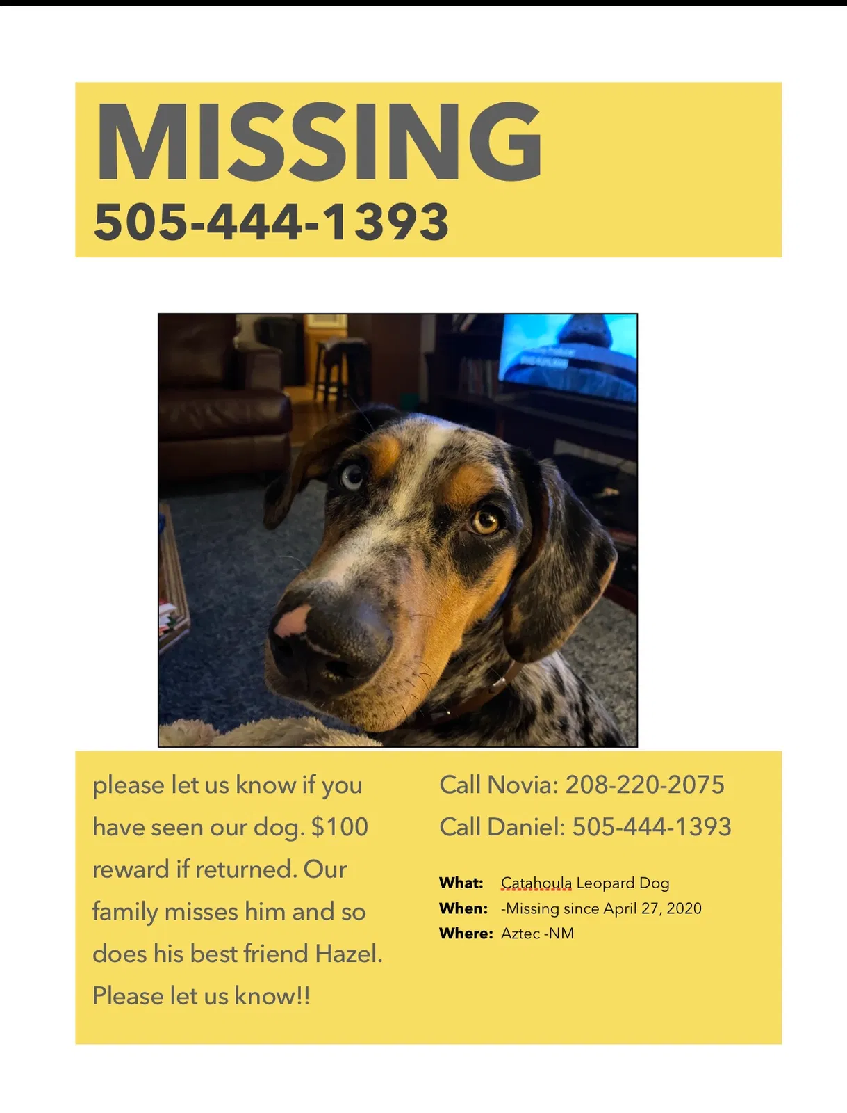 Lost dog in Aztec, NM, 87410