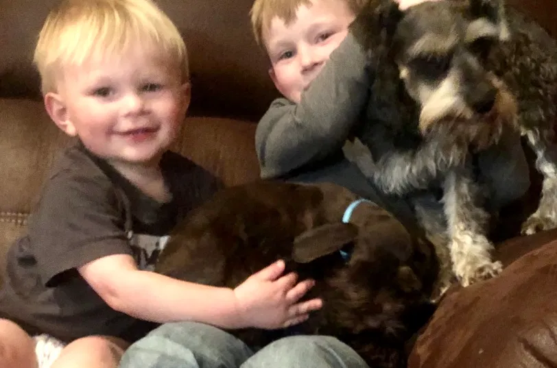 Lost dog in Jessieville, AR, 71949