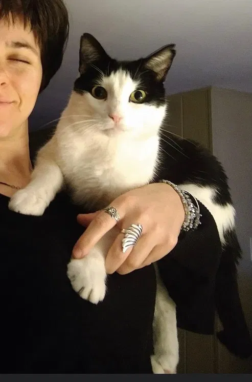 Lost cat in Red Bluff, CA, 96080