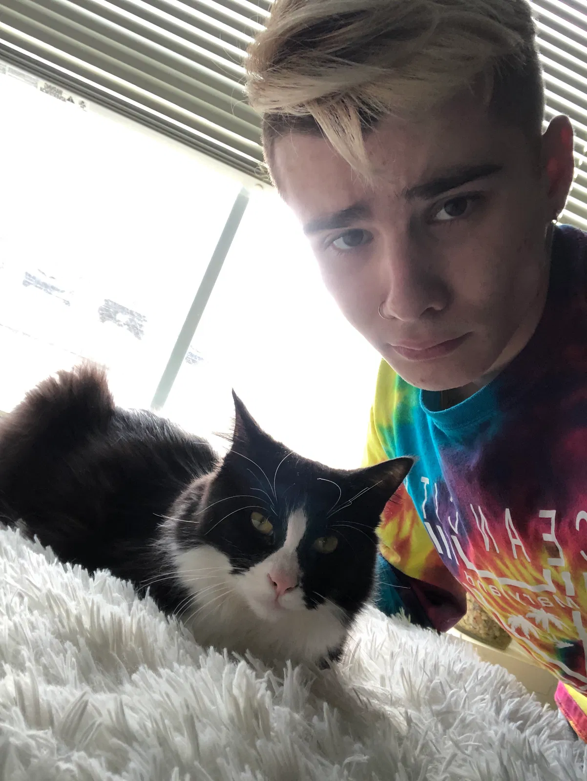 Lost cat in Morgantown, WV, 26505