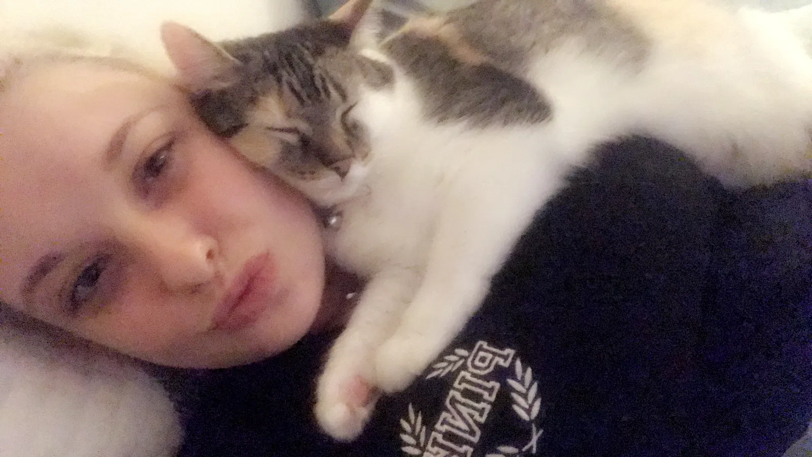 Lost cat in Cincinnati, OH, 45245