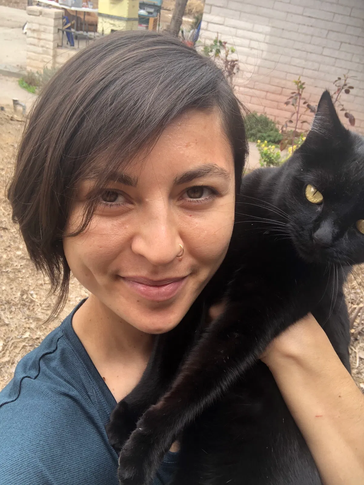 Lost cat in Albuquerque, NM, 87107