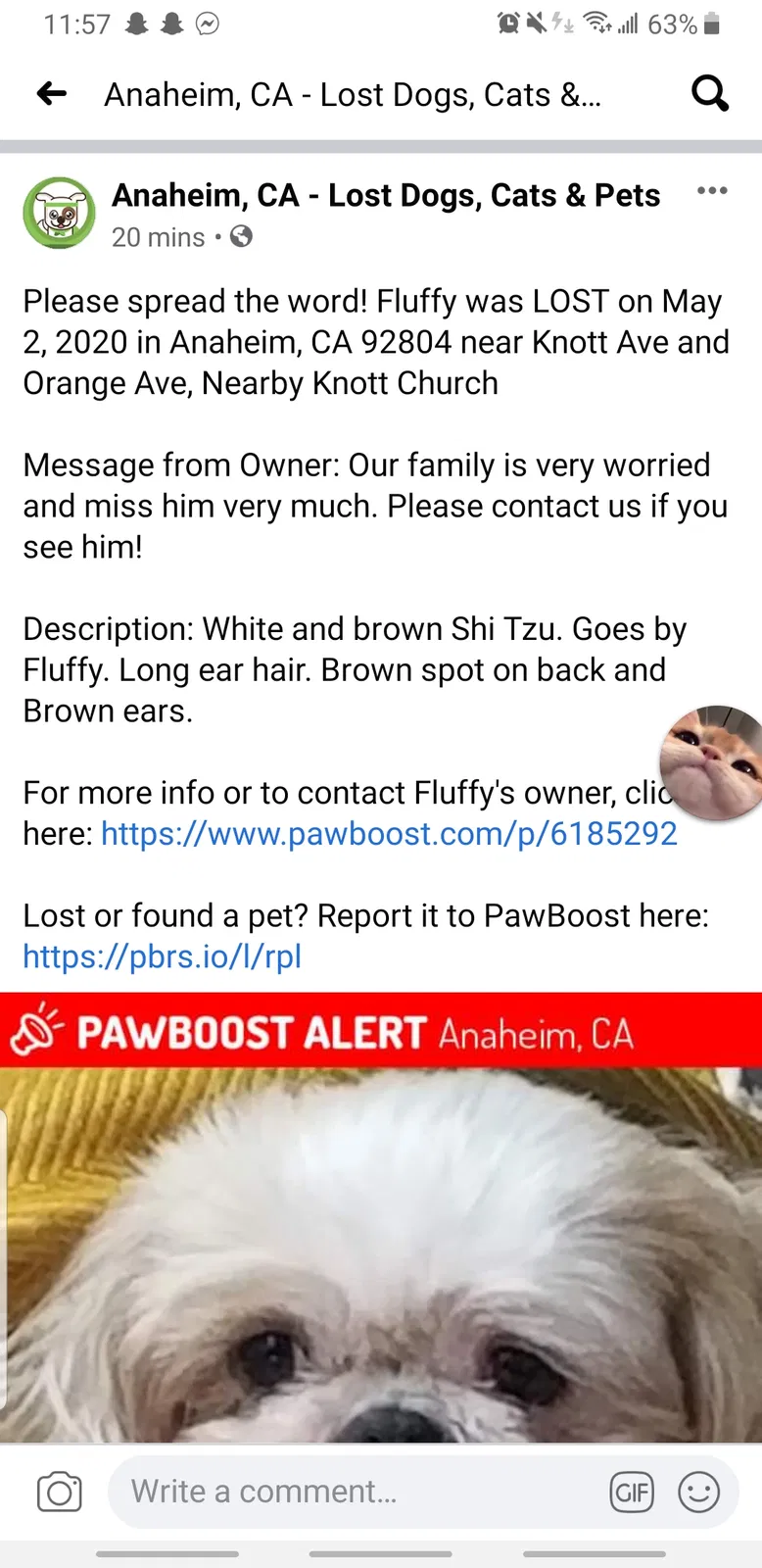 Lost dog in Anaheim, CA, 92804