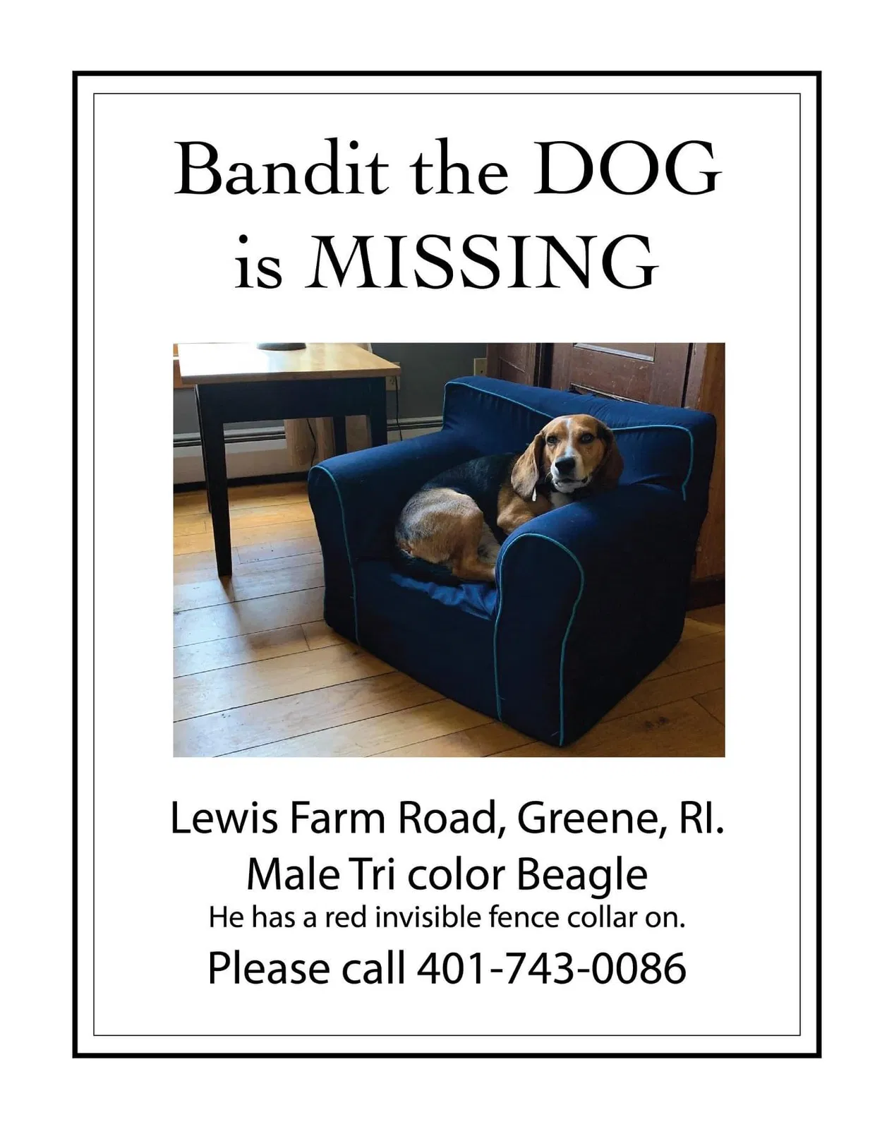 Lost dog in Greene, RI, 2827