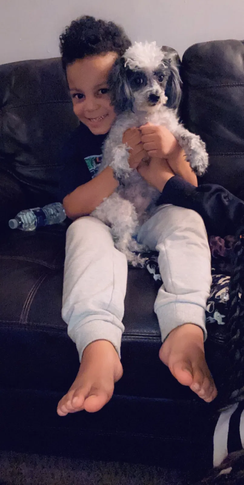 Lost dog in Westland, MI, 48185